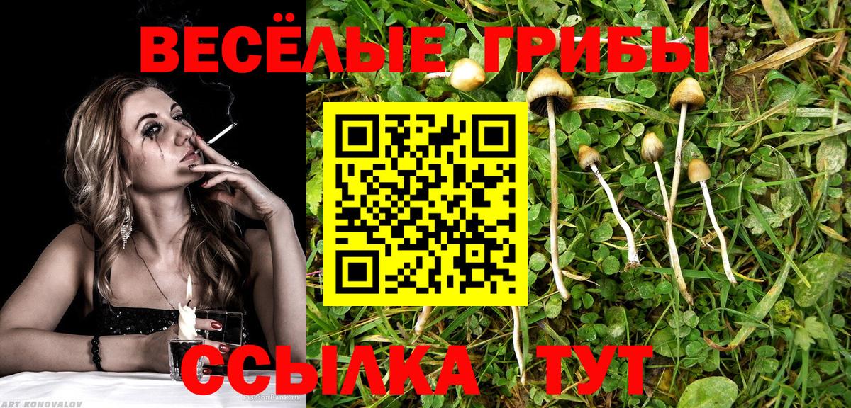 Галлюциногенные грибы GOLDEN TEACHER Можайск