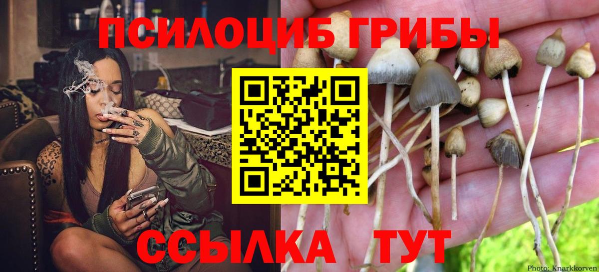 Можайск  Галлюциногенные грибы мухоморы  Вход с VPN 